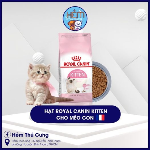 HẠT ROYAL CANIN KITTEN CHO MÈO CON 